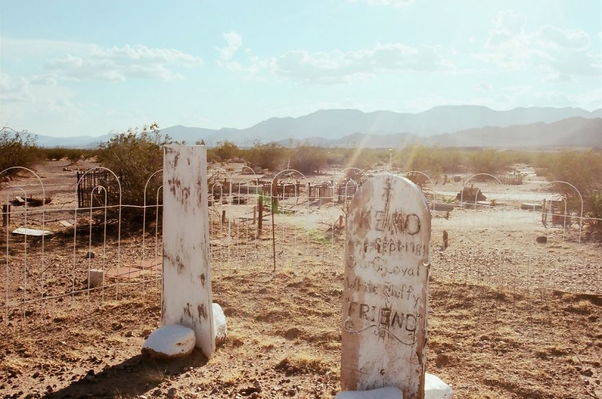 This Pet Cemetery Can Be The Stuff Of Nightmares, But All I&#8217;ve Ever Felt Out There Is Love