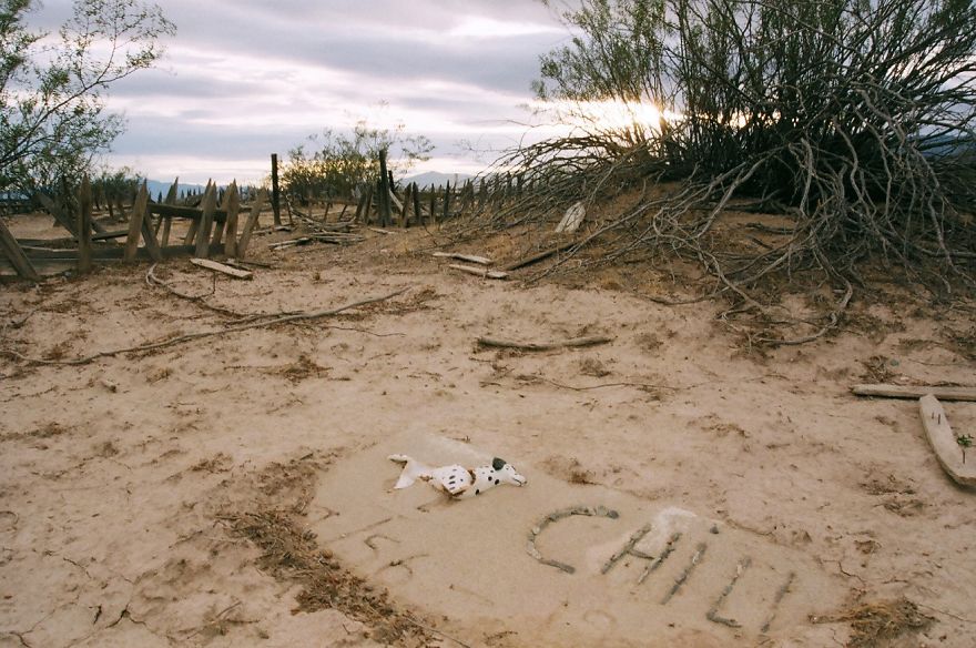This Pet Cemetery Can Be The Stuff Of Nightmares, But All I&#8217;ve Ever Felt Out There Is Love