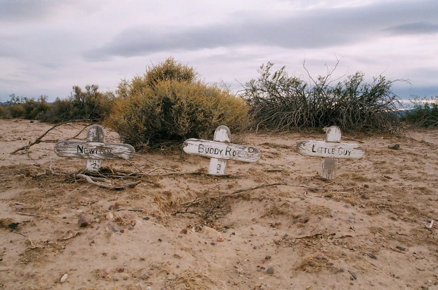 This Pet Cemetery Can Be The Stuff Of Nightmares, But All I&#8217;ve Ever Felt Out There Is Love