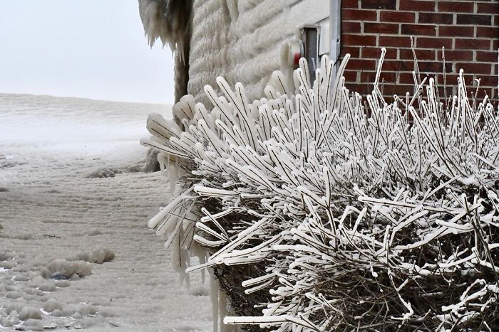 People&#8217;s Homes Near Lake Erie Get Covered In Thick Ice, They Say It Looks Cool But It&#8217;s A Nightmare To Live In
