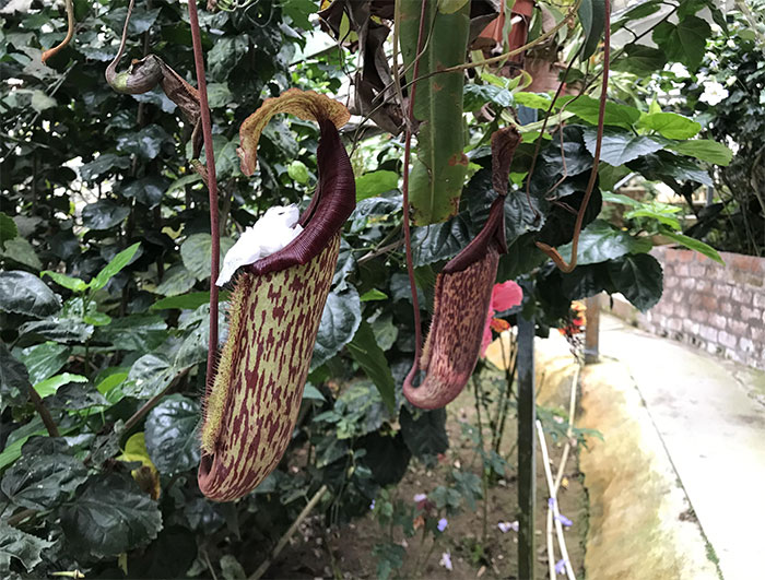 40 Examples Of People Who Are Total Jerks (New Pics)