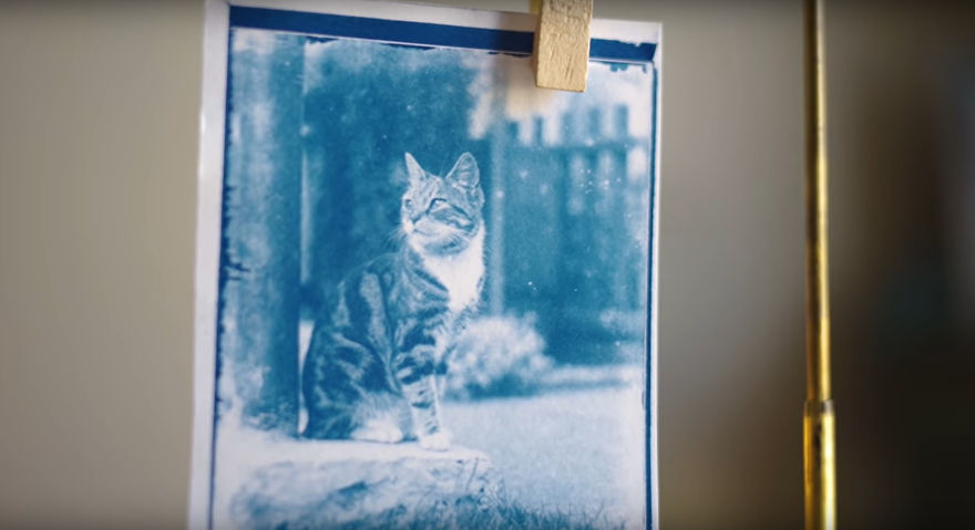 Man Opens A 120 Y.O. Time Capsule To Find Undeveloped Cat Pics, Decides To Develop Them Man Opens A 120 Y.O. Time Capsule To Find Undeveloped Cat Pics, Decides To Develop Them
