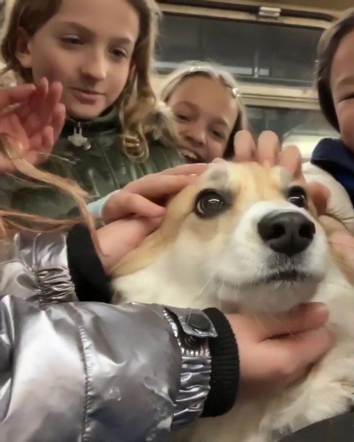 Guy Carries His Corgi In His Backpack, Brightens Everyone’s Day As They Commute (31 Pics) Guy Carries His Corgi In His Backpack, Brightens Everyone’s Day As They Commute (31 Pics)