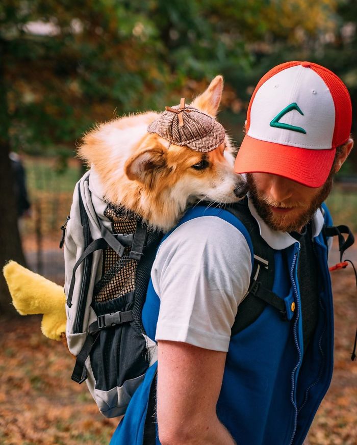 Guy Carries His Corgi In His Backpack, Brightens Everyone’s Day As They Commute (31 Pics) Guy Carries His Corgi In His Backpack, Brightens Everyone’s Day As They Commute (31 Pics)