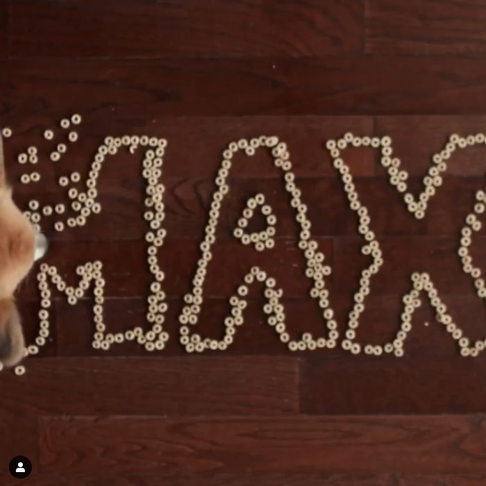 Guy Carries His Corgi In His Backpack, Brightens Everyone’s Day As They Commute (31 Pics) Guy Carries His Corgi In His Backpack, Brightens Everyone’s Day As They Commute (31 Pics)