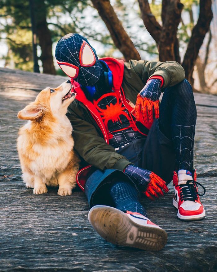 Guy Carries His Corgi In His Backpack, Brightens Everyone’s Day As They Commute (31 Pics) Guy Carries His Corgi In His Backpack, Brightens Everyone’s Day As They Commute (31 Pics)