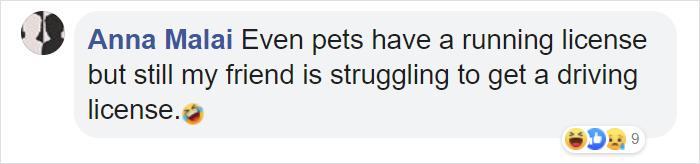 Singapore Now Issues Adorable Running Licenses For Dogs That Double As Their Personal IDs Singapore Now Issues Adorable Running Licenses For Dogs That Double As Their Personal IDs