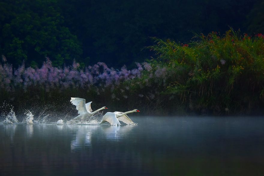 50 Photographs From The Nature 2020 Competition