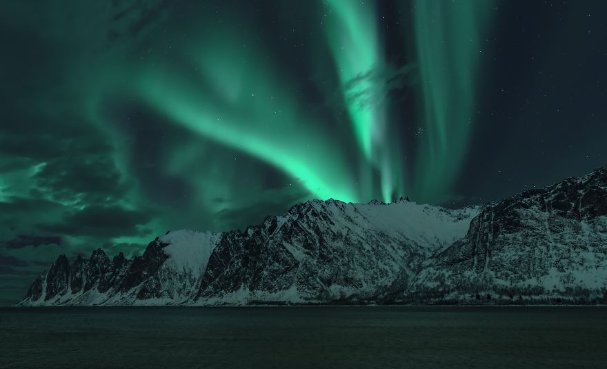 50 Photographs From The Nature 2020 Competition