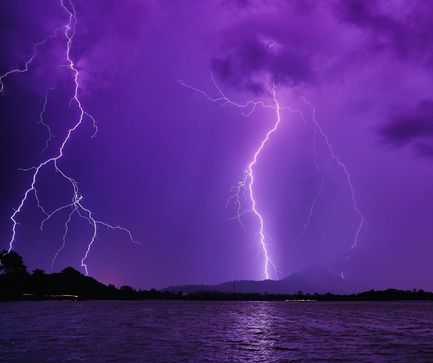 50 Photographs From The Nature 2020 Competition