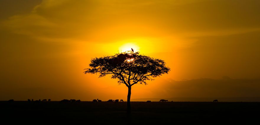 50 Photographs From The Nature 2020 Competition