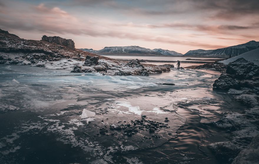 50 Photographs From The Nature 2020 Competition