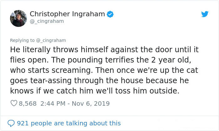 30 Times These Cat Owners Realized Their Pets Might Be Evil 30 Times These Cat Owners Realized Their Pets Might Be Evil