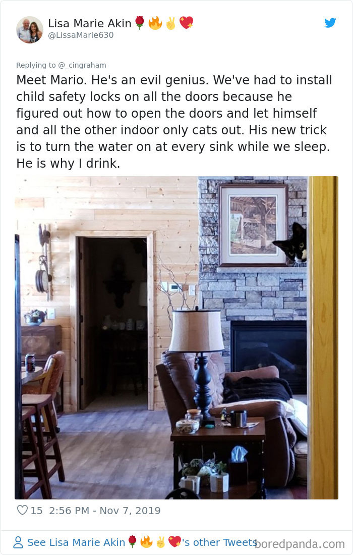 30 Times These Cat Owners Realized Their Pets Might Be Evil 30 Times These Cat Owners Realized Their Pets Might Be Evil