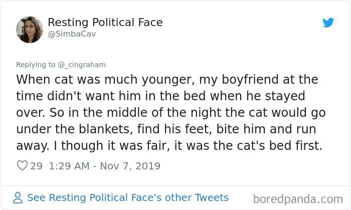 30 Times These Cat Owners Realized Their Pets Might Be Evil 30 Times These Cat Owners Realized Their Pets Might Be Evil