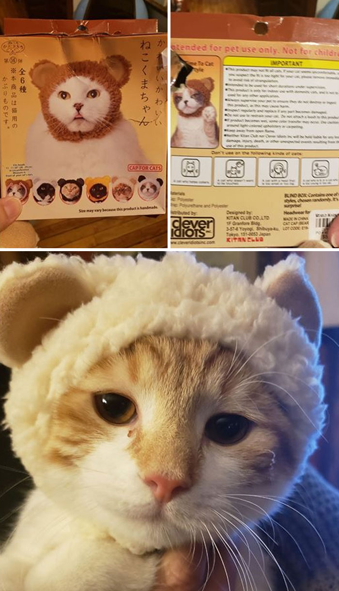 30 Times People Couldn’t Believe Their Luck In Thrift Stores, Flea Markets, And Garage Sales (New Pics) 30 Times People Couldn’t Believe Their Luck In Thrift Stores, Flea Markets, And Garage Sales (New Pics)