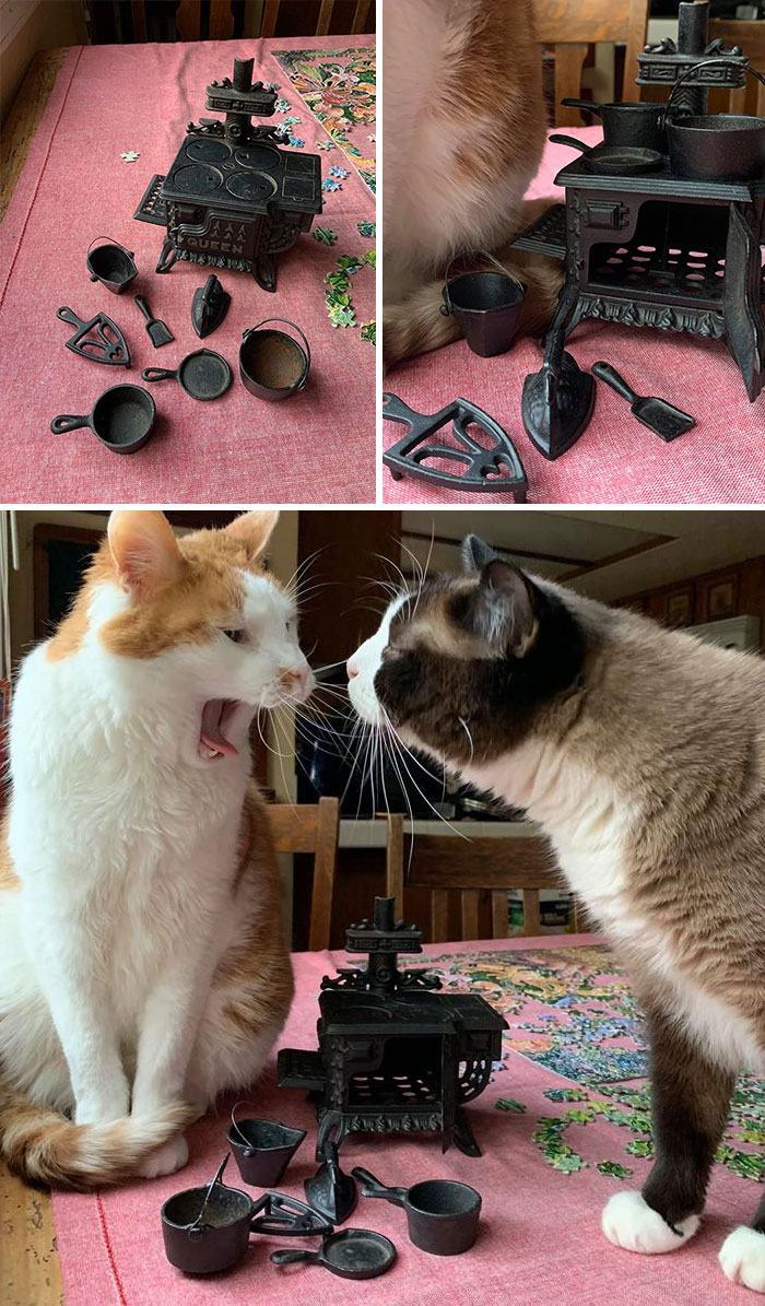 30 Times People Couldn’t Believe Their Luck In Thrift Stores, Flea Markets, And Garage Sales (New Pics) 30 Times People Couldn’t Believe Their Luck In Thrift Stores, Flea Markets, And Garage Sales (New Pics)