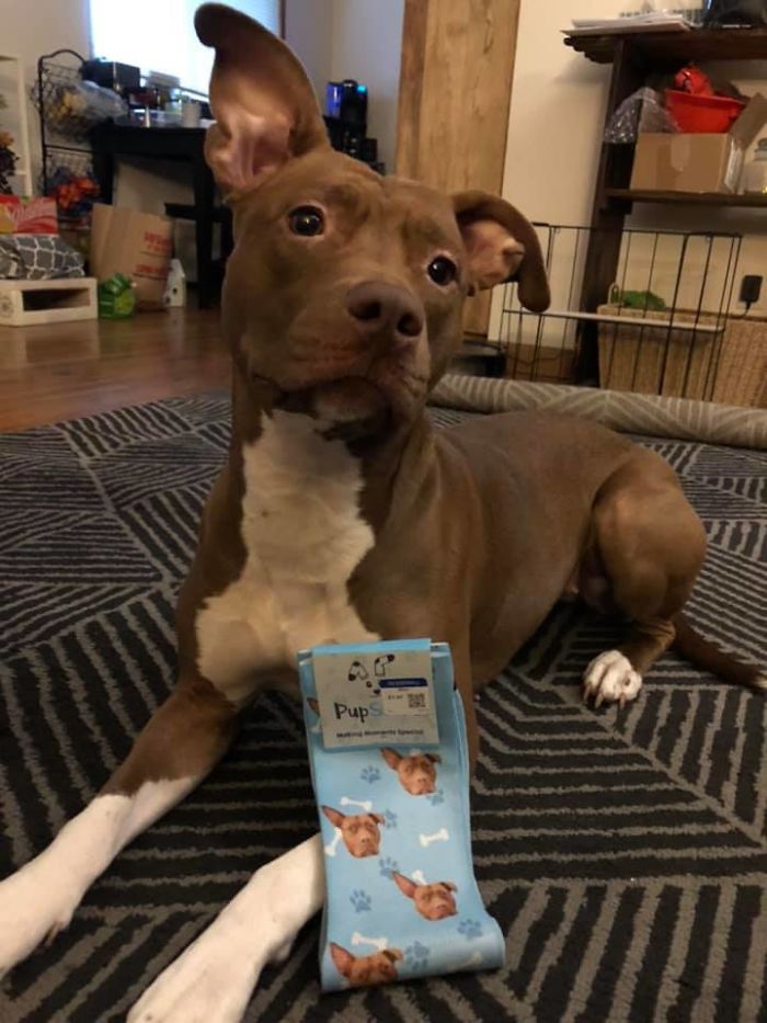 30 Times People Couldn’t Believe Their Luck In Thrift Stores, Flea Markets, And Garage Sales (New Pics) 30 Times People Couldn’t Believe Their Luck In Thrift Stores, Flea Markets, And Garage Sales (New Pics)