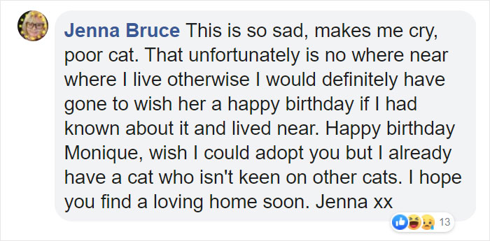 Shelter Workers Organize This Cat’s Birthday Hoping Someone Will Adopt Her, But No One Turns Up Shelter Workers Organize This Cat’s Birthday Hoping Someone Will Adopt Her, But No One Turns Up