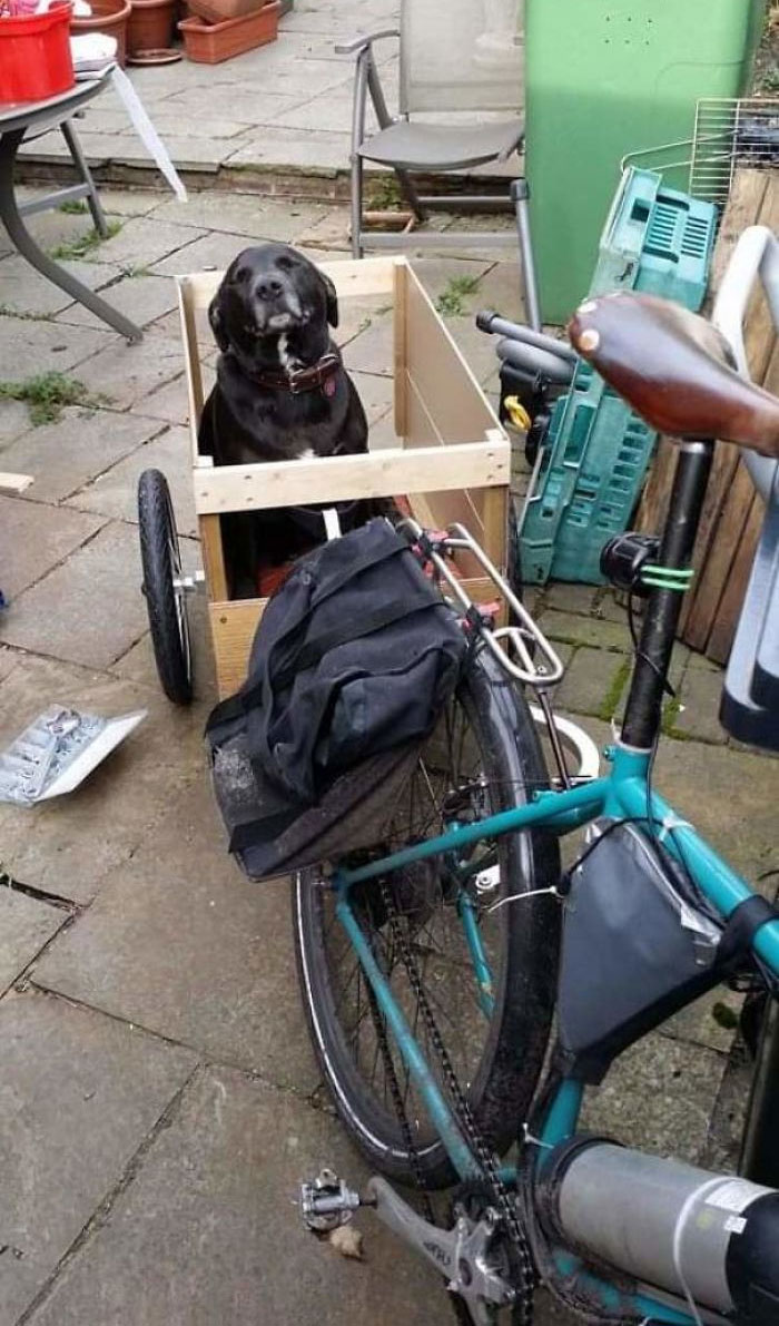 40 Most Wholesome Rescue Pet Photos Of This Month (February Edition) 40 Most Wholesome Rescue Pet Photos Of This Month (February Edition)