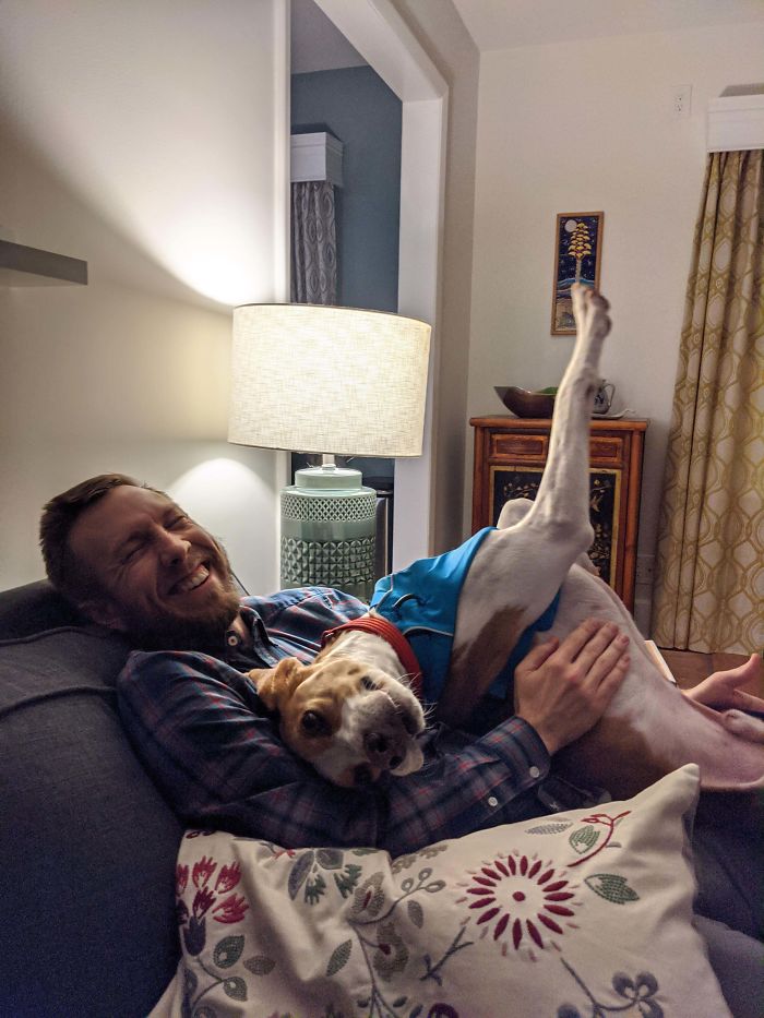 40 Most Wholesome Rescue Pet Photos Of This Month (February Edition) 40 Most Wholesome Rescue Pet Photos Of This Month (February Edition)