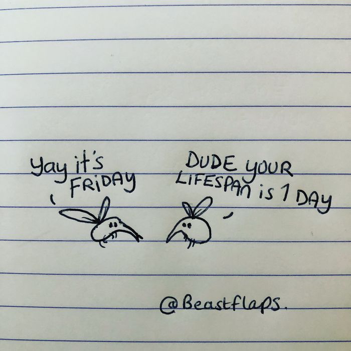 24 Funny Doodles This Artist Drew During Meetings They Didn’t Need To Be At 24 Funny Doodles This Artist Drew During Meetings They Didn’t Need To Be At