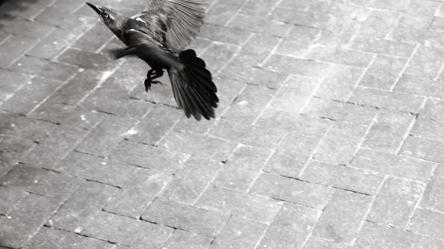 I Spent Lunch At The Rosa Parks Plaza In Dallas, Tx And Here&#8217;s What I Saw