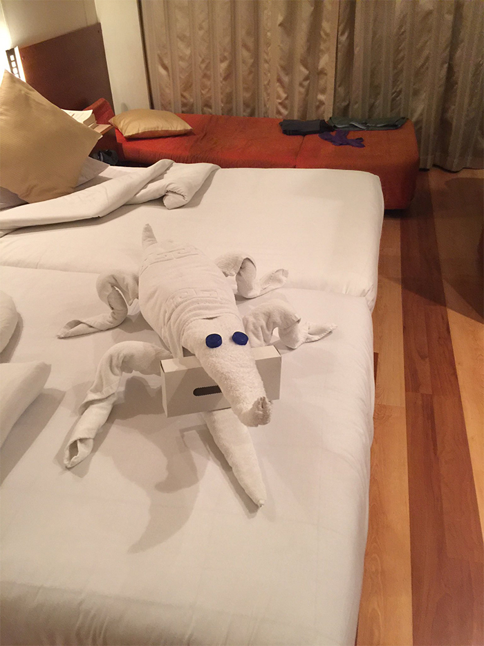 30 Times People Had The Best Towel-Folding Experiences In Hotels 30 Times People Had The Best Towel-Folding Experiences In Hotels