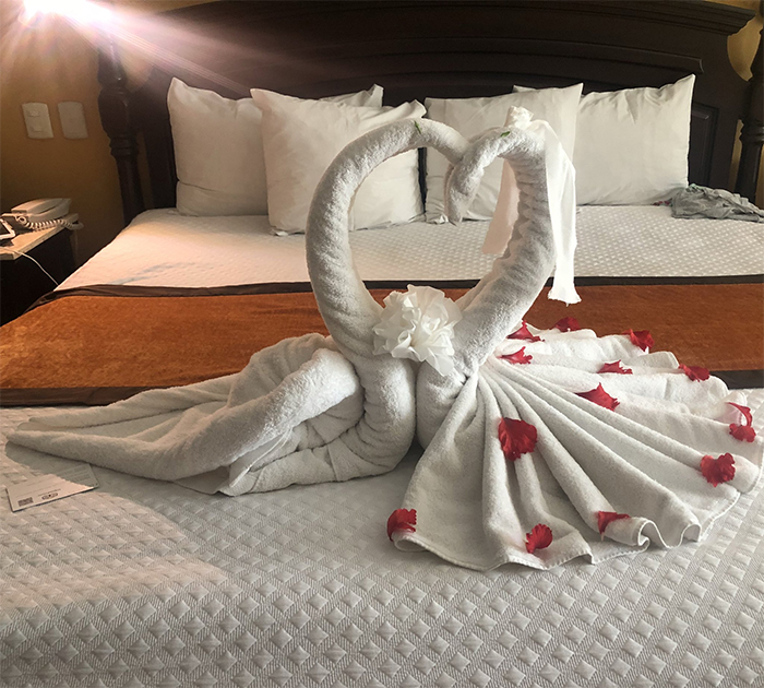 30 Times People Had The Best Towel-Folding Experiences In Hotels 30 Times People Had The Best Towel-Folding Experiences In Hotels