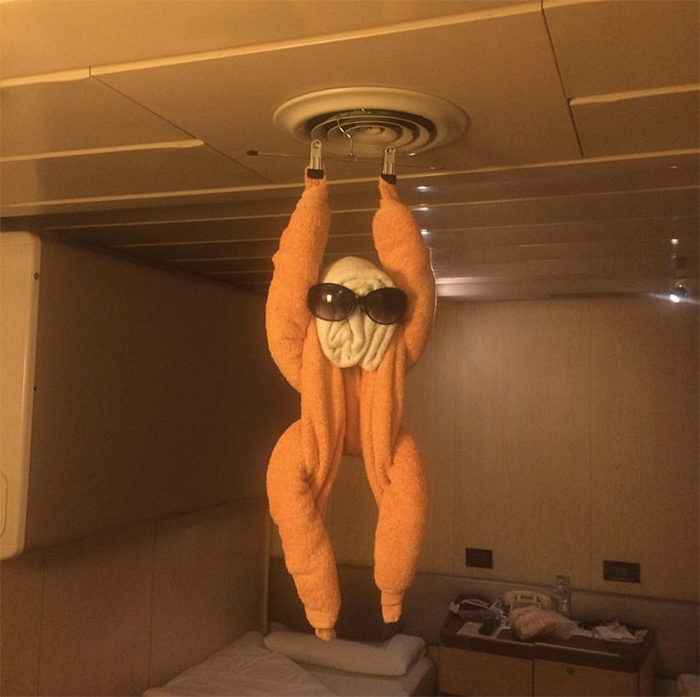 30 Times People Had The Best Towel-Folding Experiences In Hotels 30 Times People Had The Best Towel-Folding Experiences In Hotels