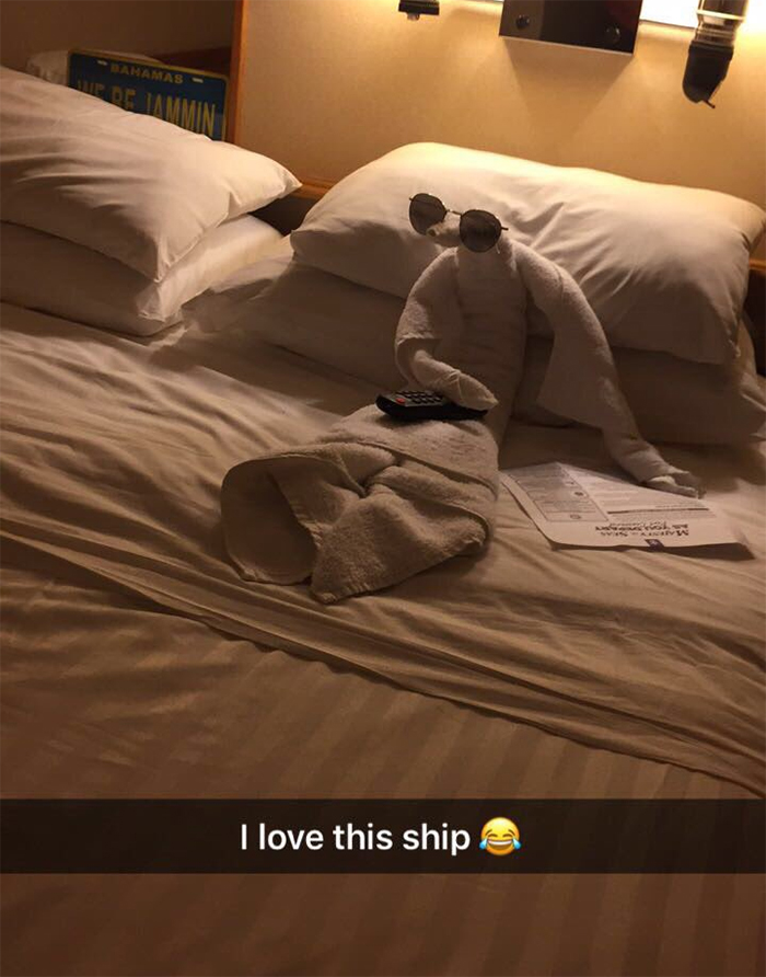 30 Times People Had The Best Towel-Folding Experiences In Hotels 30 Times People Had The Best Towel-Folding Experiences In Hotels