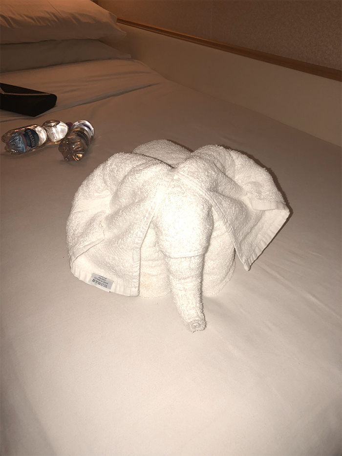 30 Times People Had The Best Towel-Folding Experiences In Hotels 30 Times People Had The Best Towel-Folding Experiences In Hotels