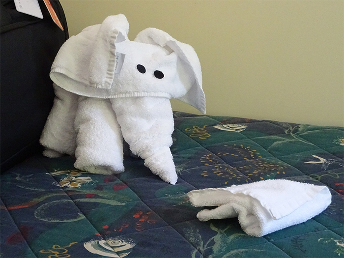 30 Times People Had The Best Towel-Folding Experiences In Hotels 30 Times People Had The Best Towel-Folding Experiences In Hotels