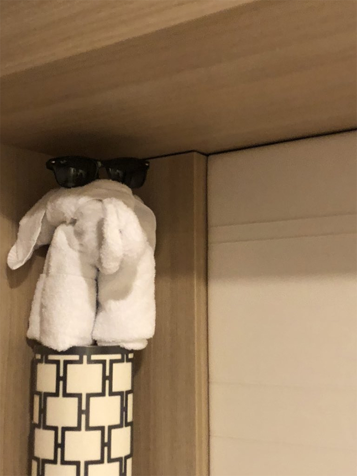 30 Times People Had The Best Towel-Folding Experiences In Hotels 30 Times People Had The Best Towel-Folding Experiences In Hotels