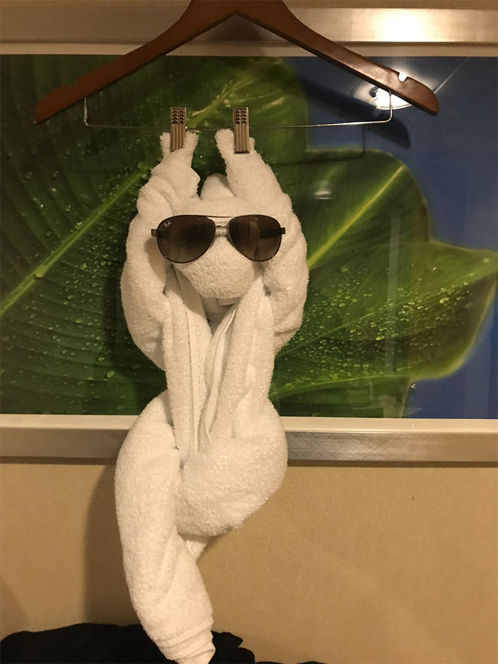 30 Times People Had The Best Towel-Folding Experiences In Hotels 30 Times People Had The Best Towel-Folding Experiences In Hotels