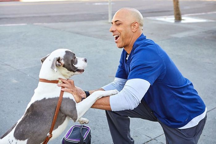 This Man Is A Veterinarian Who Walks Around California And Treats Homeless People’s Animals For Free This Man Is A Veterinarian Who Walks Around California And Treats Homeless People’s Animals For Free
