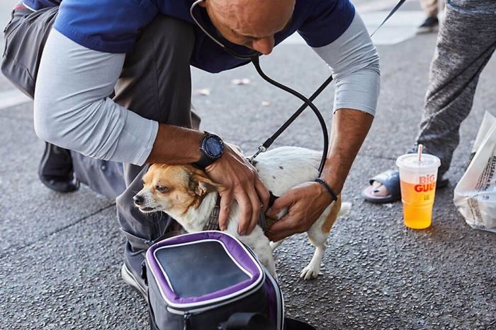 This Man Is A Veterinarian Who Walks Around California And Treats Homeless People’s Animals For Free This Man Is A Veterinarian Who Walks Around California And Treats Homeless People’s Animals For Free