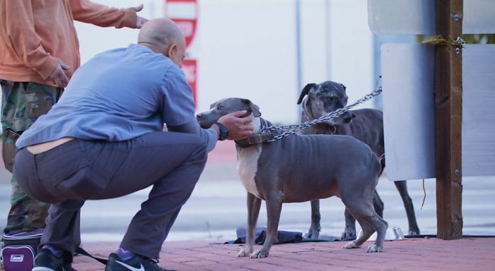 This Man Is A Veterinarian Who Walks Around California And Treats Homeless People’s Animals For Free This Man Is A Veterinarian Who Walks Around California And Treats Homeless People’s Animals For Free