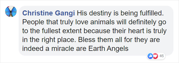 This Man Is A Veterinarian Who Walks Around California And Treats Homeless People’s Animals For Free This Man Is A Veterinarian Who Walks Around California And Treats Homeless People’s Animals For Free