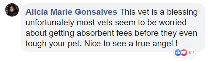 This Man Is A Veterinarian Who Walks Around California And Treats Homeless People’s Animals For Free This Man Is A Veterinarian Who Walks Around California And Treats Homeless People’s Animals For Free