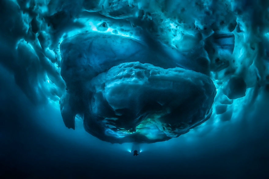 The Winners Of The 2020 Underwater Photographer Of The Year Contest Might Take Your Breath Away (30 Pics) The Winners Of The 2020 Underwater Photographer Of The Year Contest Might Take Your Breath Away (30 Pics)
