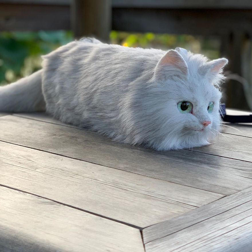 This Japanese Artist Continues To Create Cat Bags (New Pics) This Japanese Artist Continues To Create Cat Bags (New Pics)