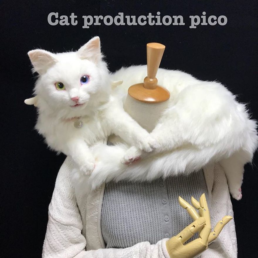 This Japanese Artist Continues To Create Cat Bags (New Pics) This Japanese Artist Continues To Create Cat Bags (New Pics)