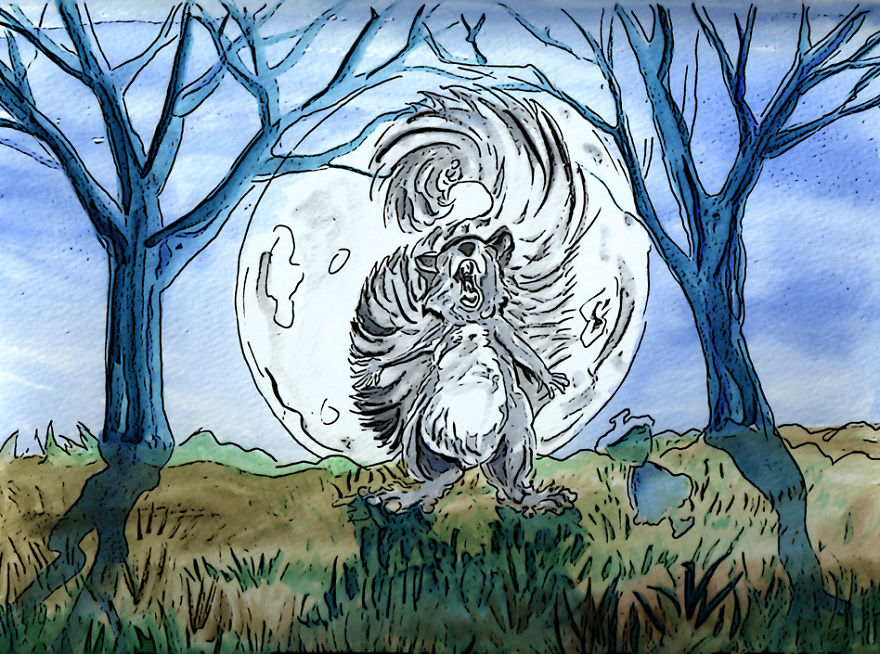 I Make Drawings Of Squirrels When I’m Not Photographing Them I Make Drawings Of Squirrels When I’m Not Photographing Them