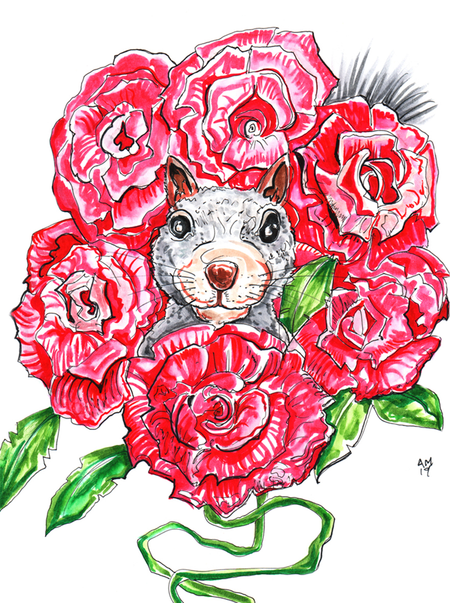 I Make Drawings Of Squirrels When I’m Not Photographing Them I Make Drawings Of Squirrels When I’m Not Photographing Them