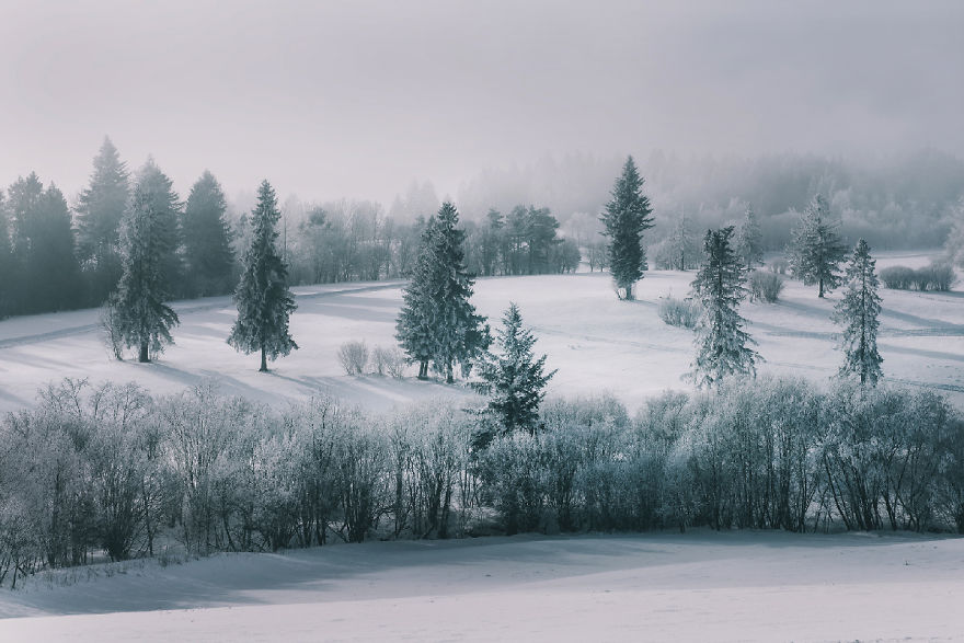 I’ve Got Lost In The Winter Wonderland And Captured These Photographs (14 Pics) I’ve Got Lost In The Winter Wonderland And Captured These Photographs (14 Pics)