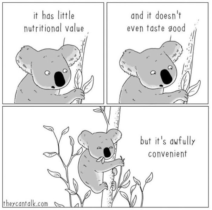 40 Comics Reveal What Animals Would Say If They Could Talk (New Pics) 40 Comics Reveal What Animals Would Say If They Could Talk (New Pics)