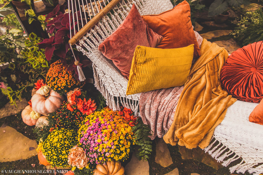I Would Spend All Day In This Greenhouse