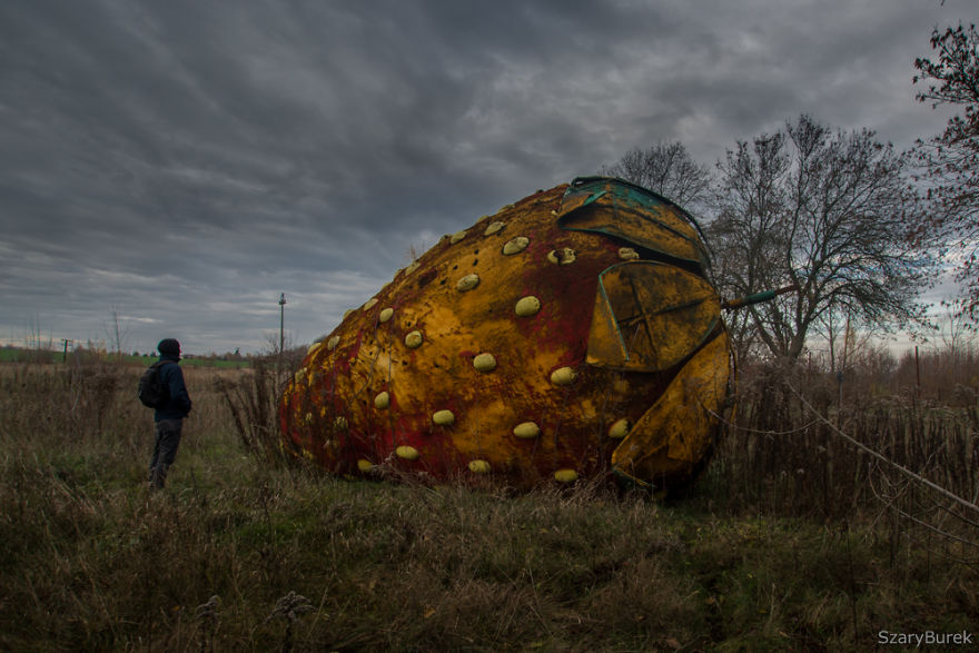 I Found A Large Abandoned Strawberry In Poland I Found A Large Abandoned Strawberry In Poland