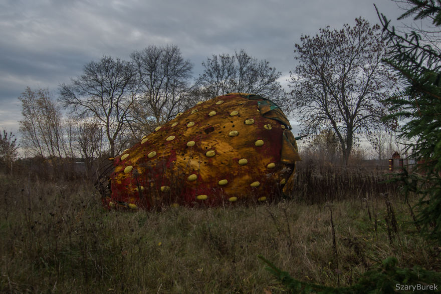 I Found A Large Abandoned Strawberry In Poland I Found A Large Abandoned Strawberry In Poland